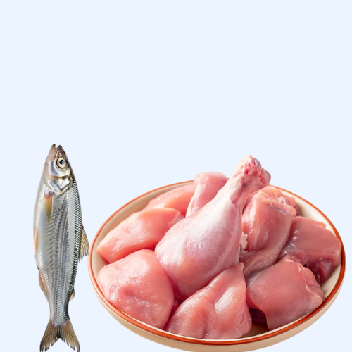 Chicken Meat & Fish